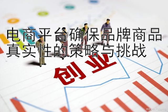 电商平台确保品牌商品真实性的策略与挑战